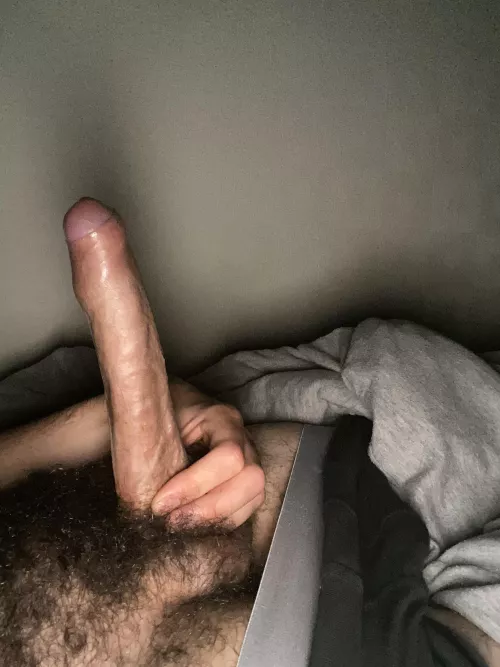 What do you think of my cock?