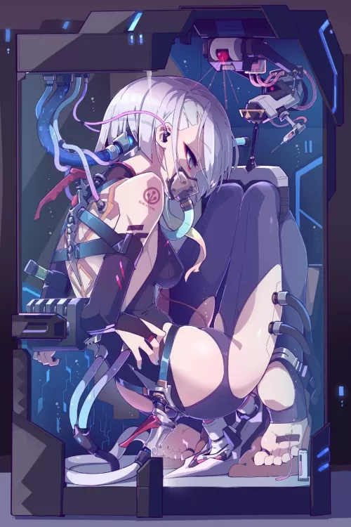 Assets of Arasaka Co