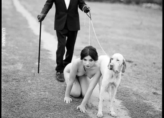 Good pets.
