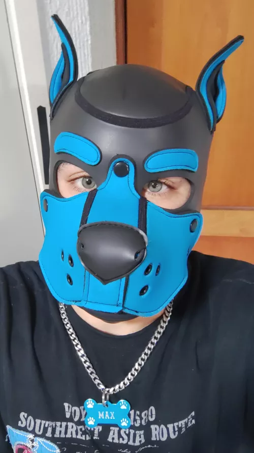 Hi! I'm Max 🐾 and I want more puppy friends!! woof! 🐶