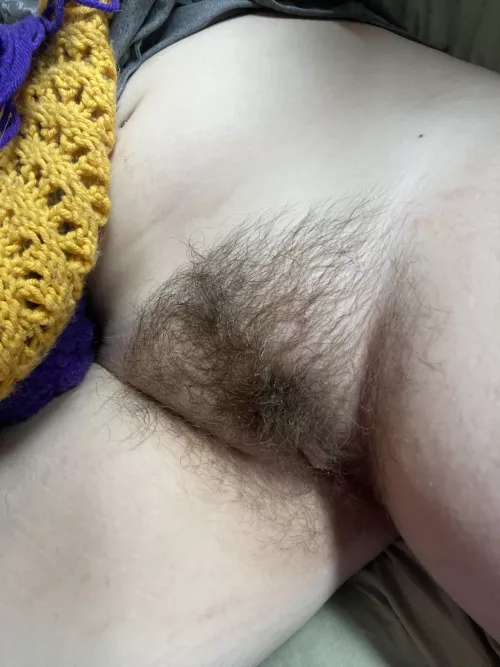 insert your face here :)