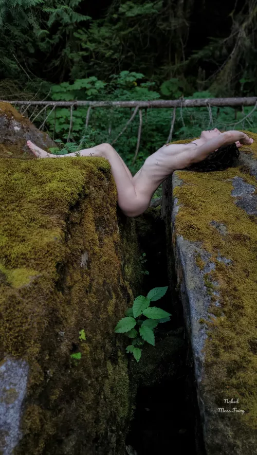 Petite nymph who loves to create heARTwork with mother nature💚