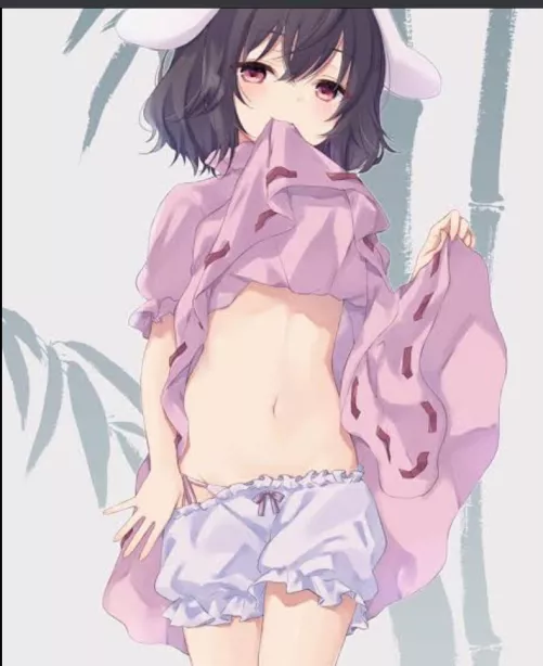 Tewi’s Amazing Midriff(Touhou Project)
