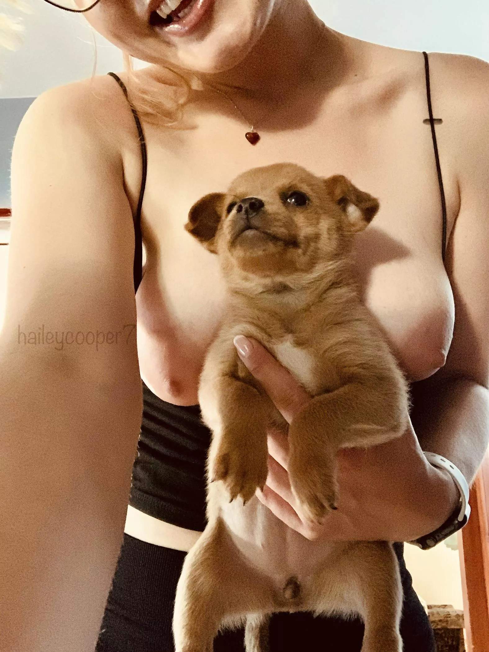 Three puppies!