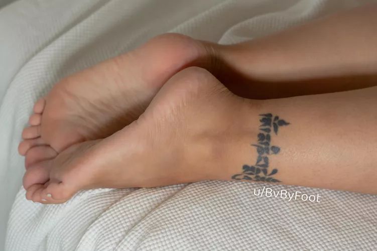 What’s your worst vice? Mine is binging on cute dog TikToks before bed.