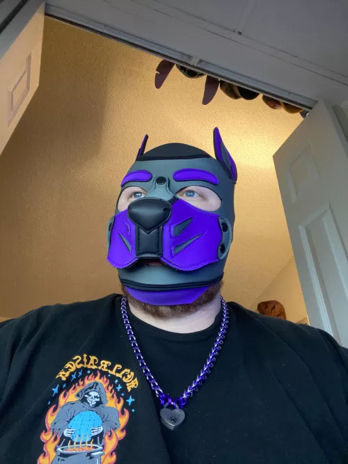 When you gotta make a resume…… but you’re a dog