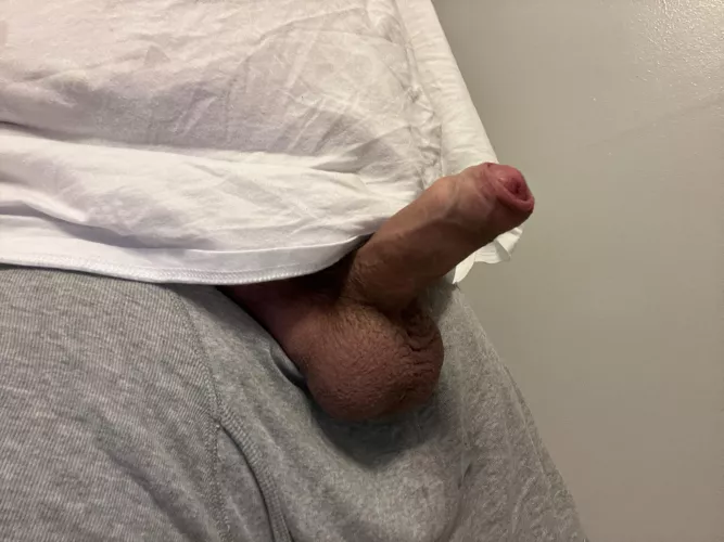 Anyone wanna chat interview me about being 35 American white dude who’s intact. Think it fully retracts hard?