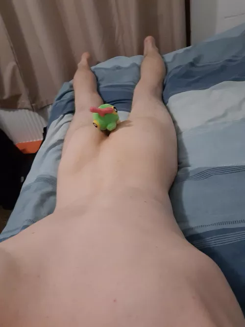 Caterpie having a snack 😋