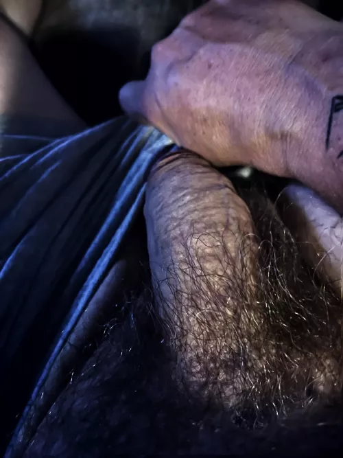 I could go for a light trim and a blow job