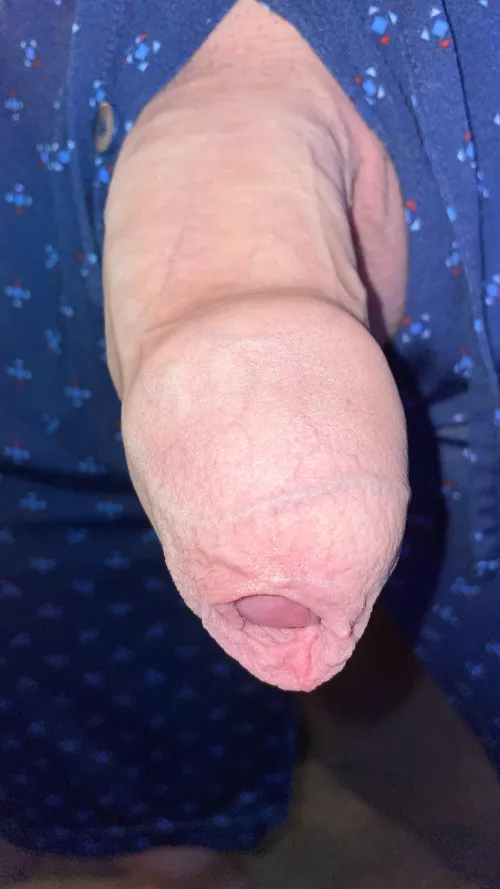 I hope you appreciate this foreskin covered cock