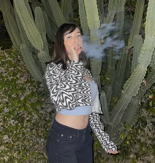 I love king palms 🌴