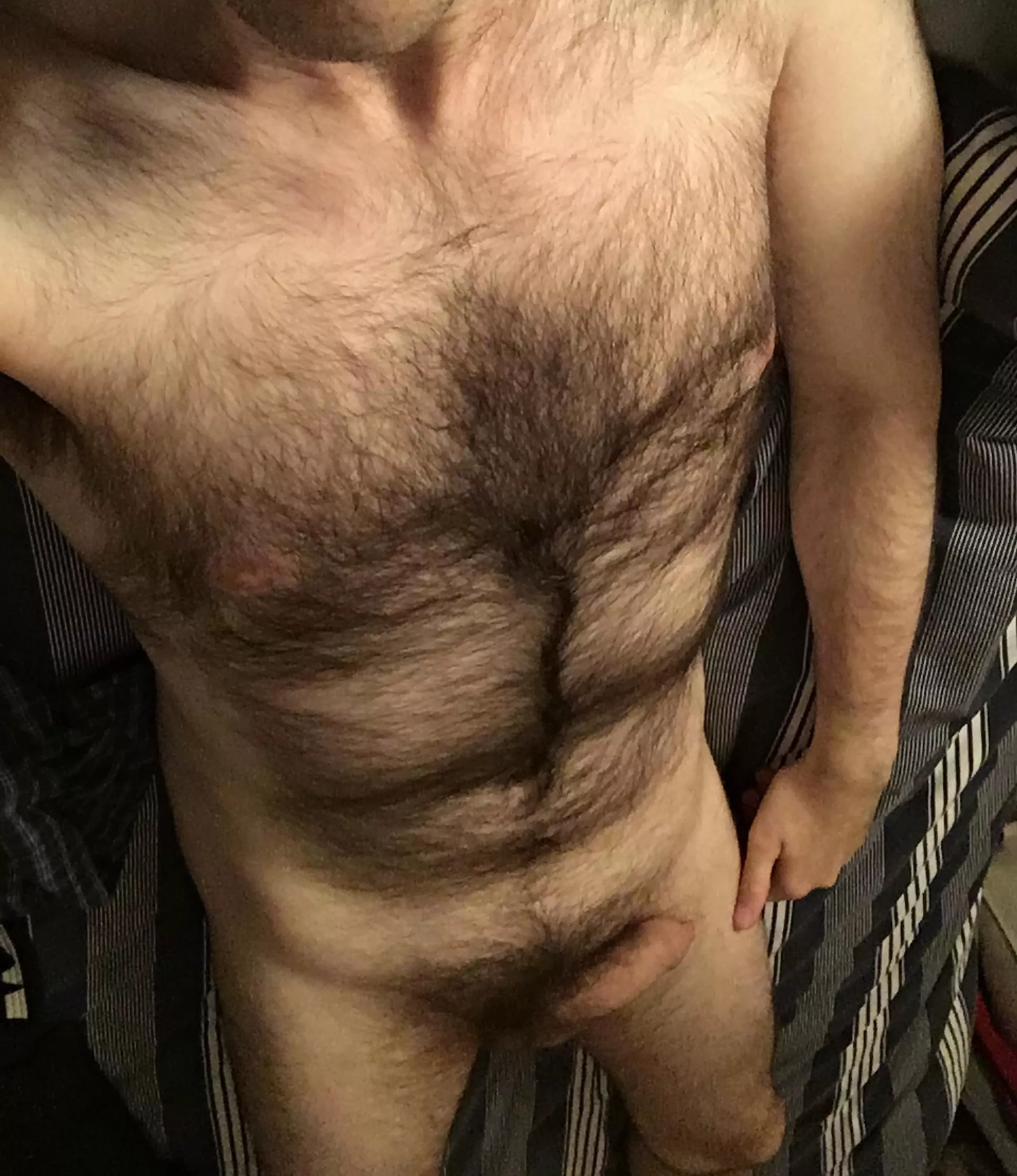 I’ve realised that people only really engage with my pics when I show either my chest or my dick. So here you all are, for the first time, both together! (41) I’ve realised that people only really engage with my pics when I show either my chest or my dick. So here you all are, for the first time, both together! (41)