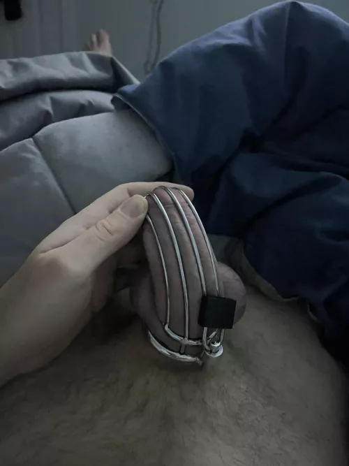 Straining in my cage