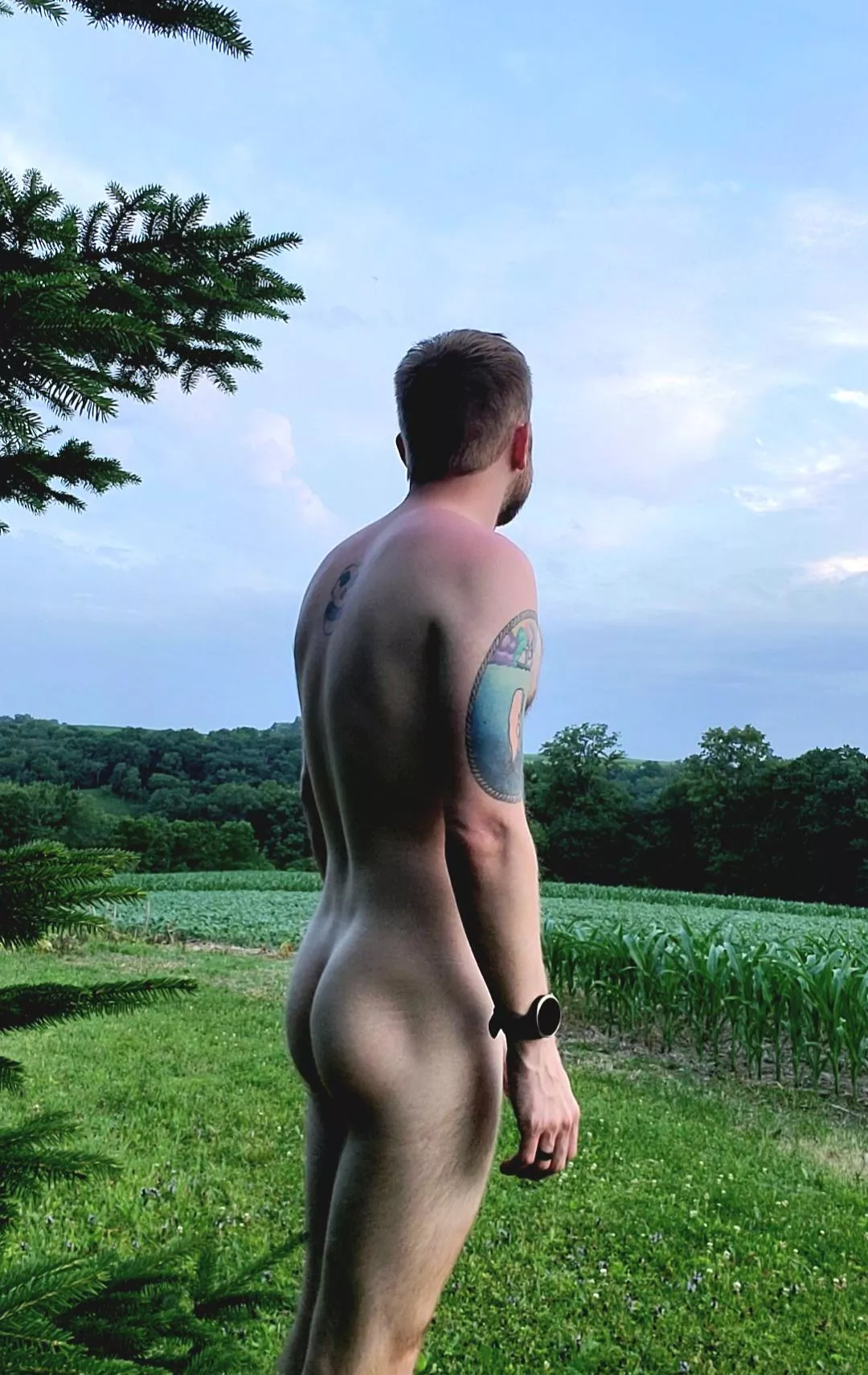 🌳🍑