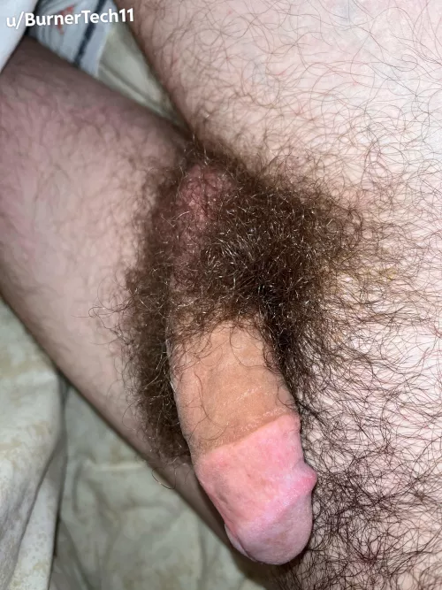 I’ve been told it’s pretty. Would you agree?