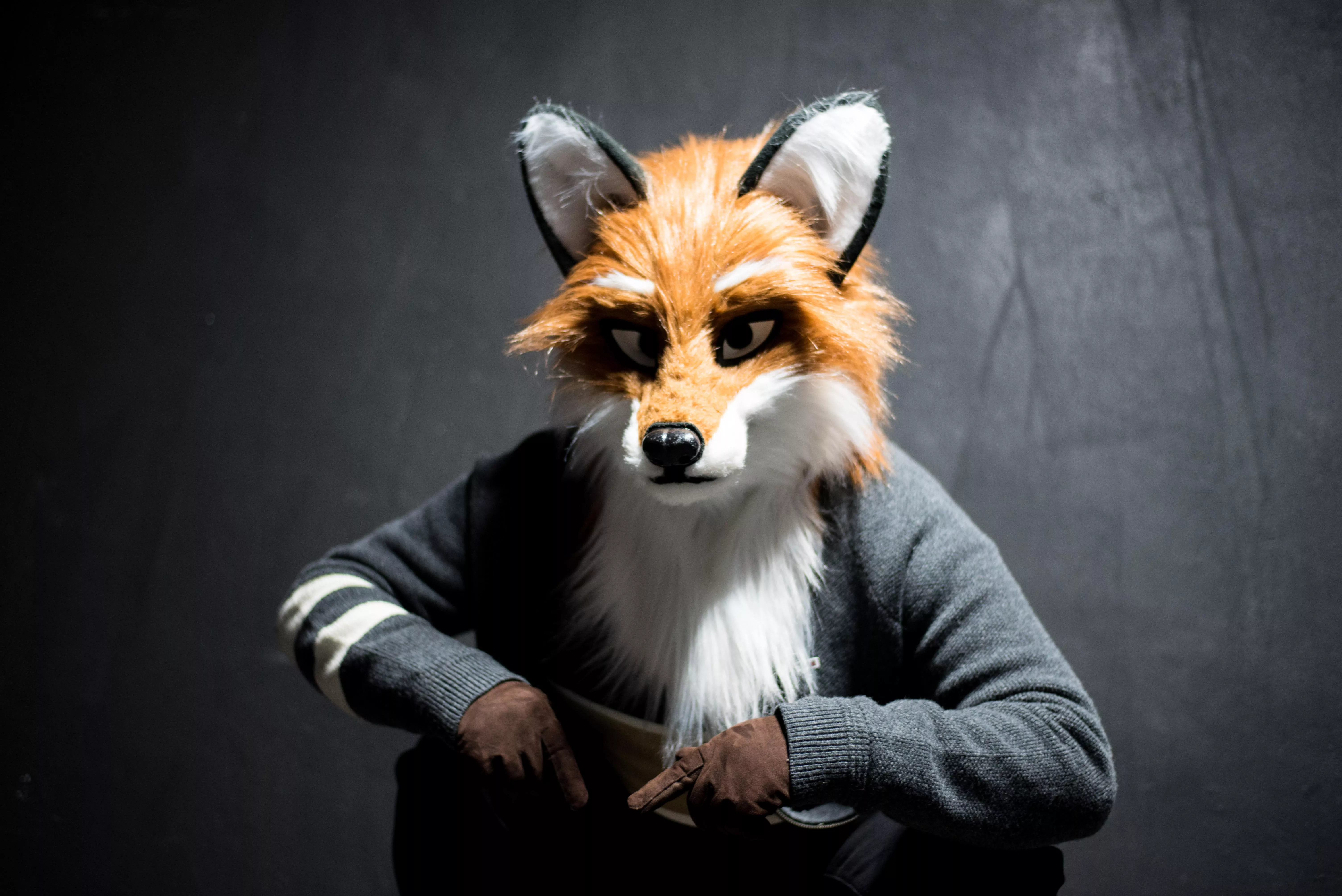Just Your Local Fox, Nothing Special