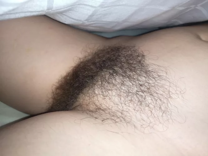 She is starting to get an awesome bush, and I love it. How does it look?