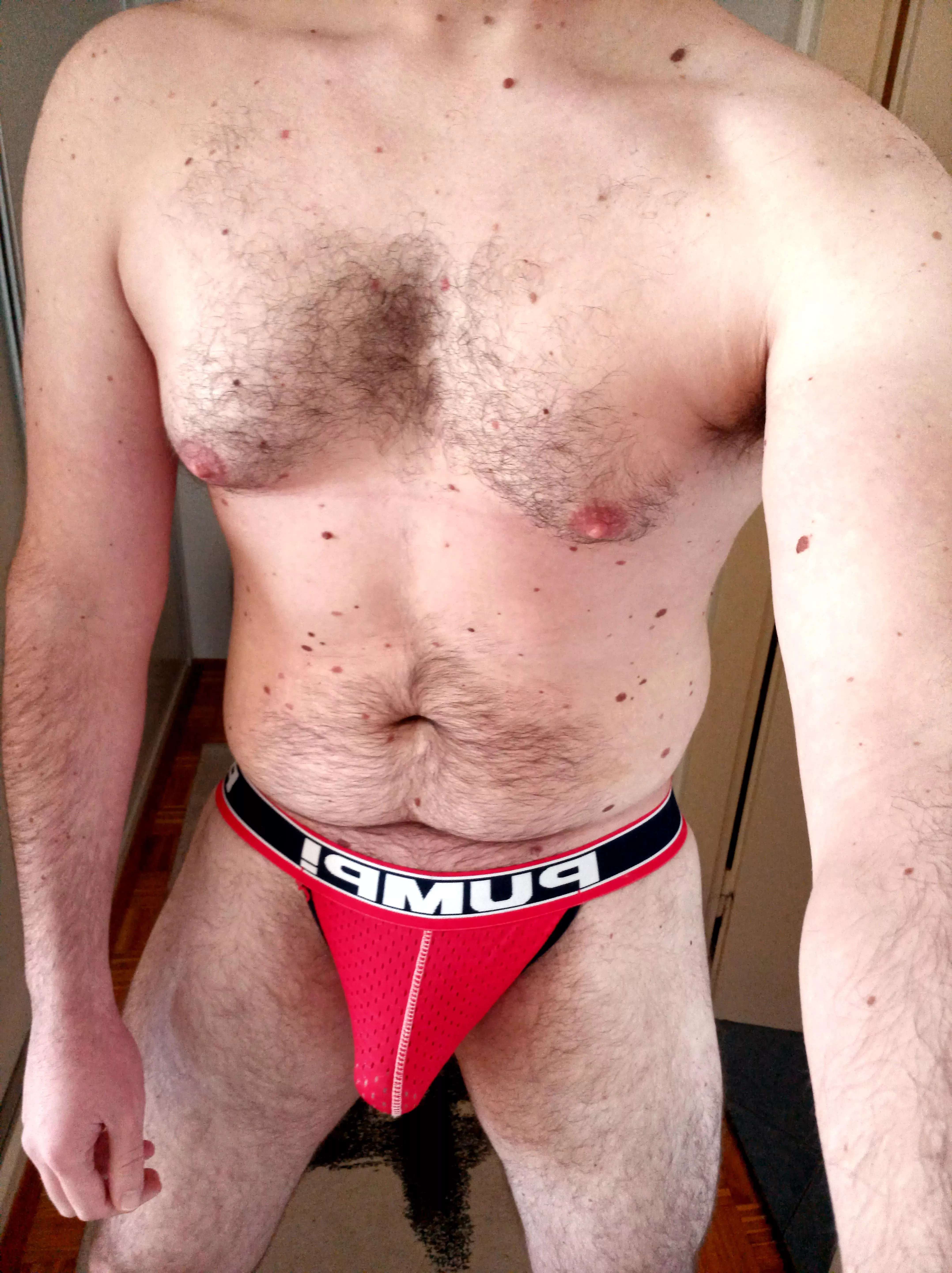 🐻