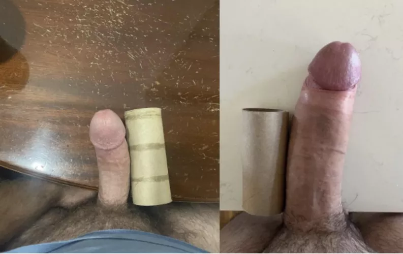 Another comparison sent in. Which cock do you pick?