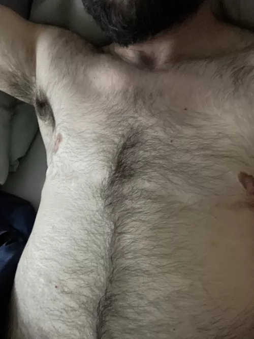 Could do with a furry chest buddy right now 😏