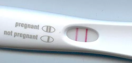 look what I found in our bathroom!! I am snipped and wife seems to be knocked up by her bull..