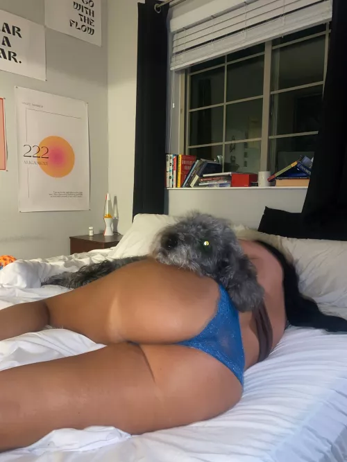 They make great pillows trust me