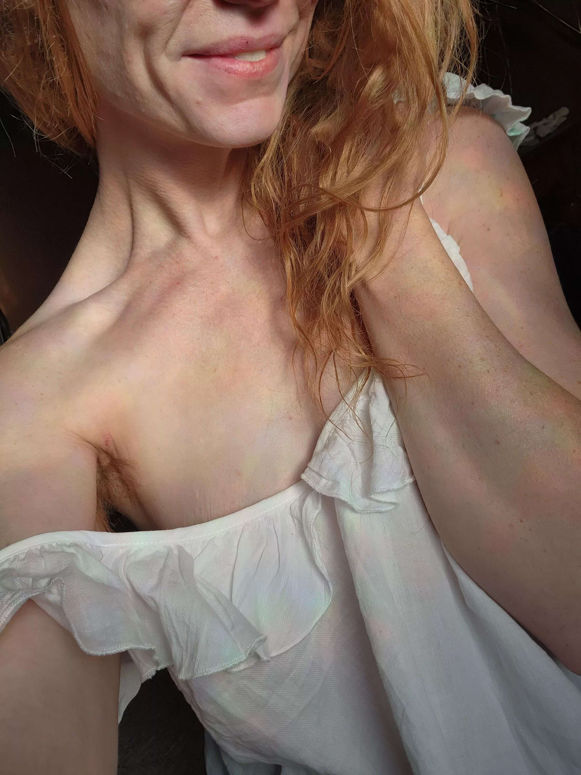 a gentle ginger