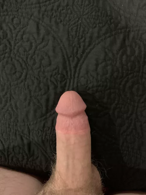 Do you like my cut virgin cock?