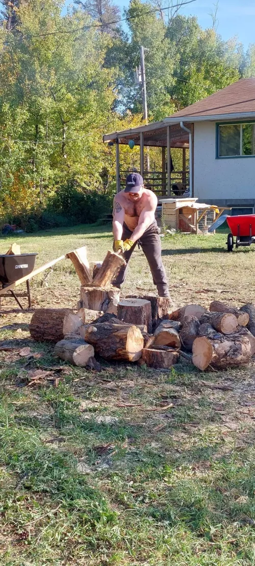 Getting that firewood cut