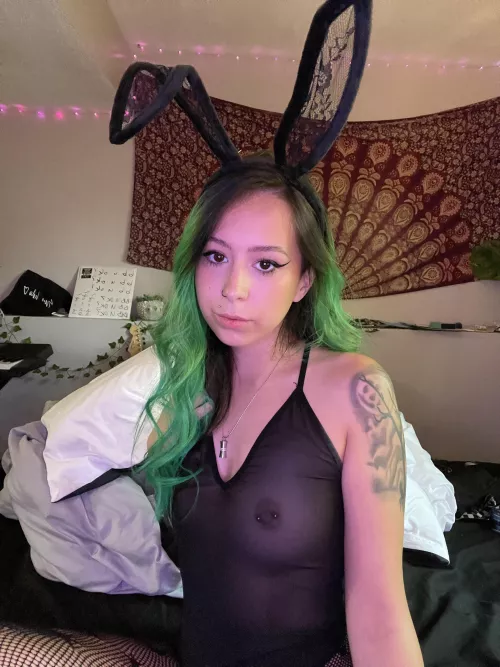 happy october from the fuck bunny 🖤🕷🕸