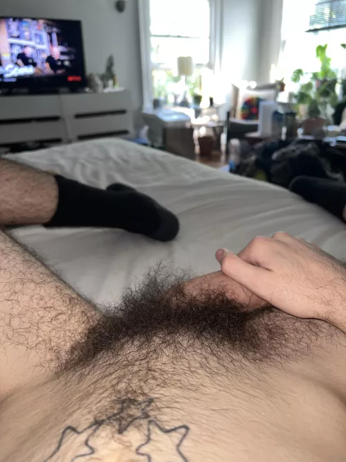 my pubes need someone to play with them rn