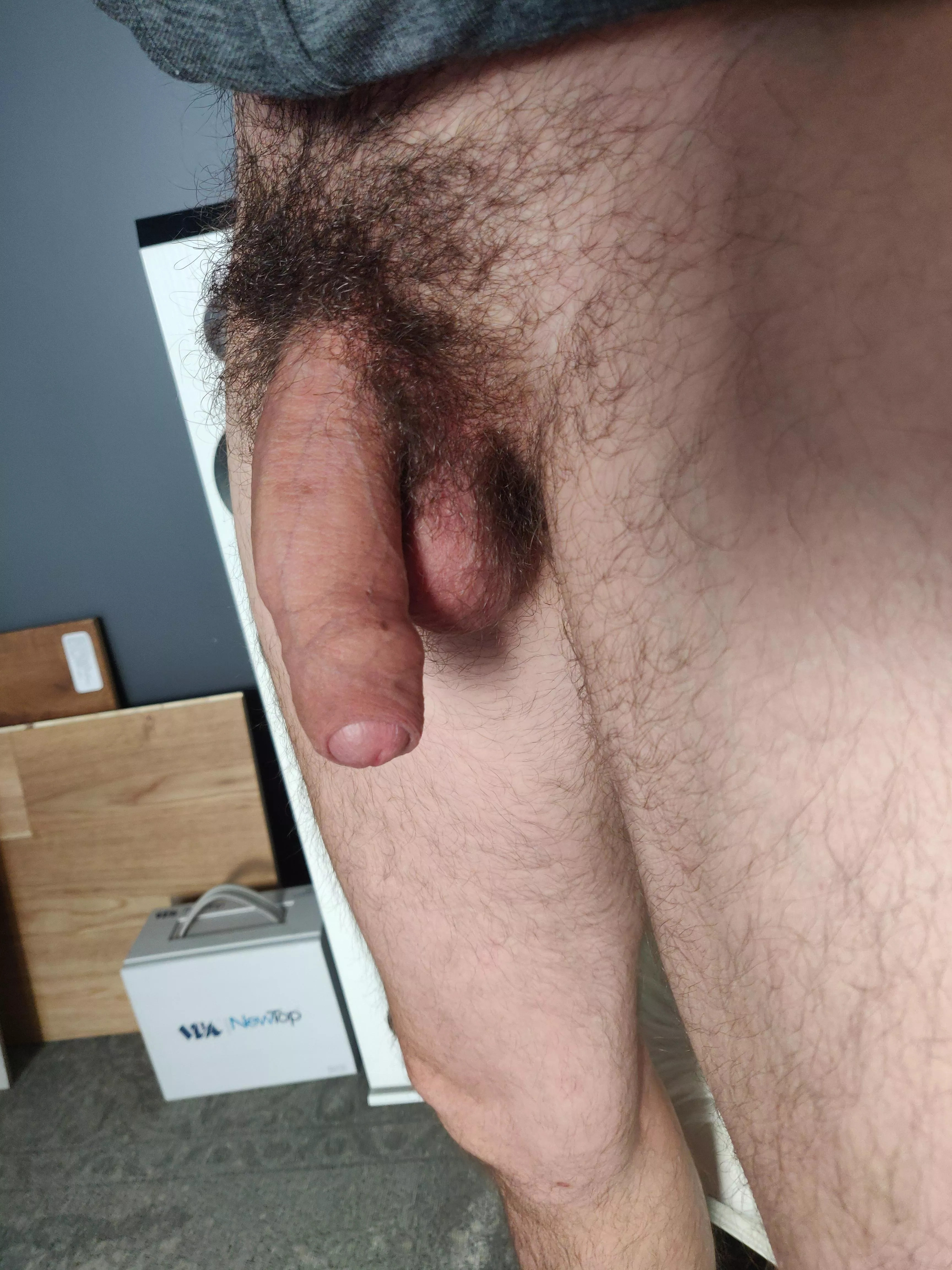 softy at work...