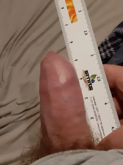 someone please show me what a real cock looks like and put me in my place. I just love to worship bigger cocks and dms always open.