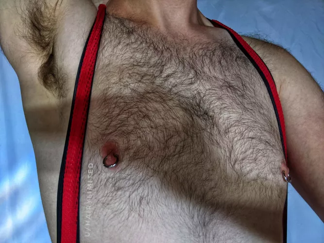 would you prefer to start with smelling, licking, or rubbing?