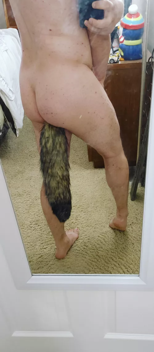 you want to pull my tail and play with this puppy? check out my bio