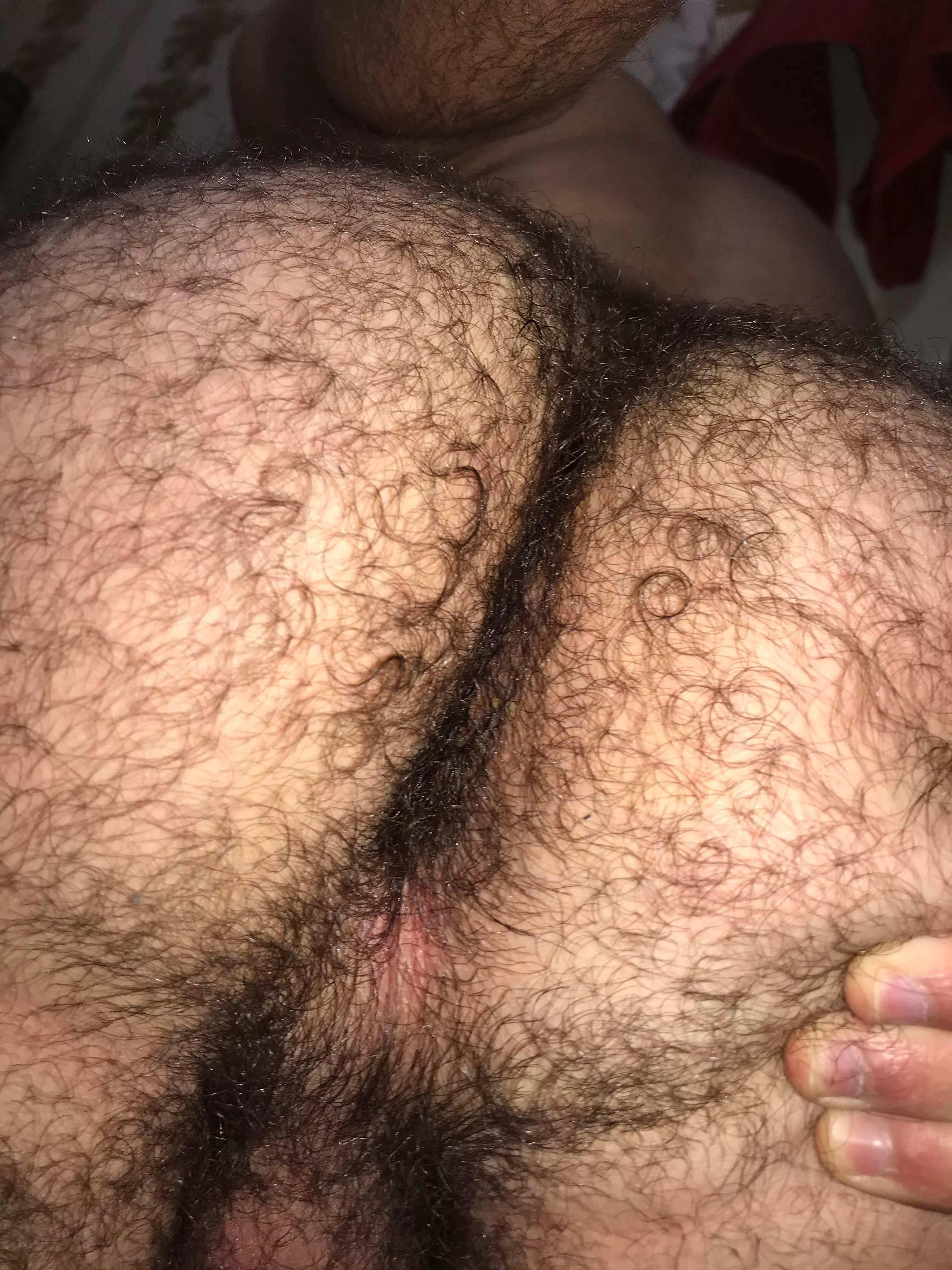 furry enough?