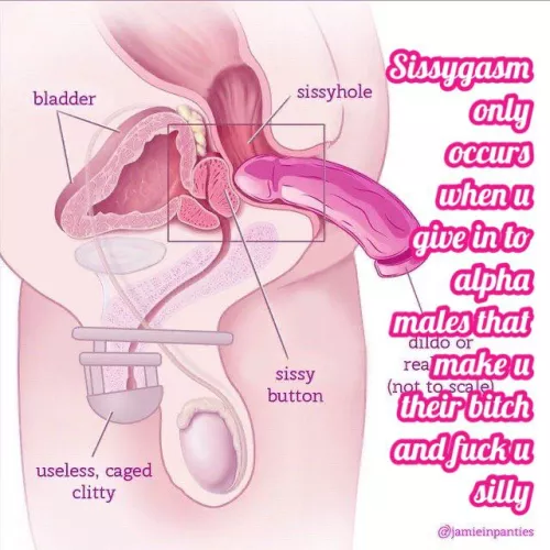 Give in and experience bliss