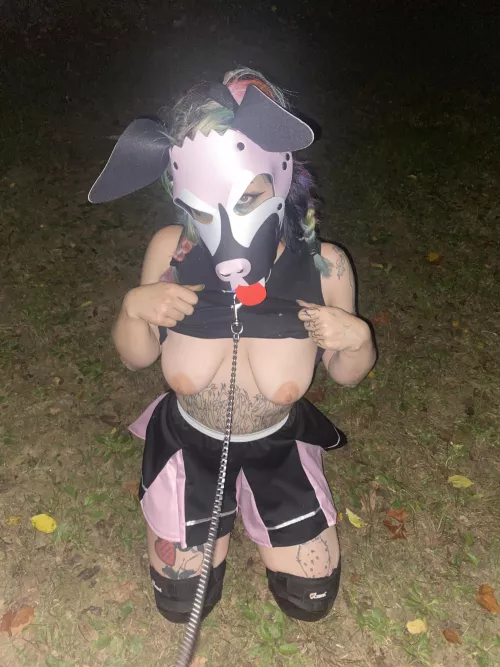 Sitting pretty 🐶✨