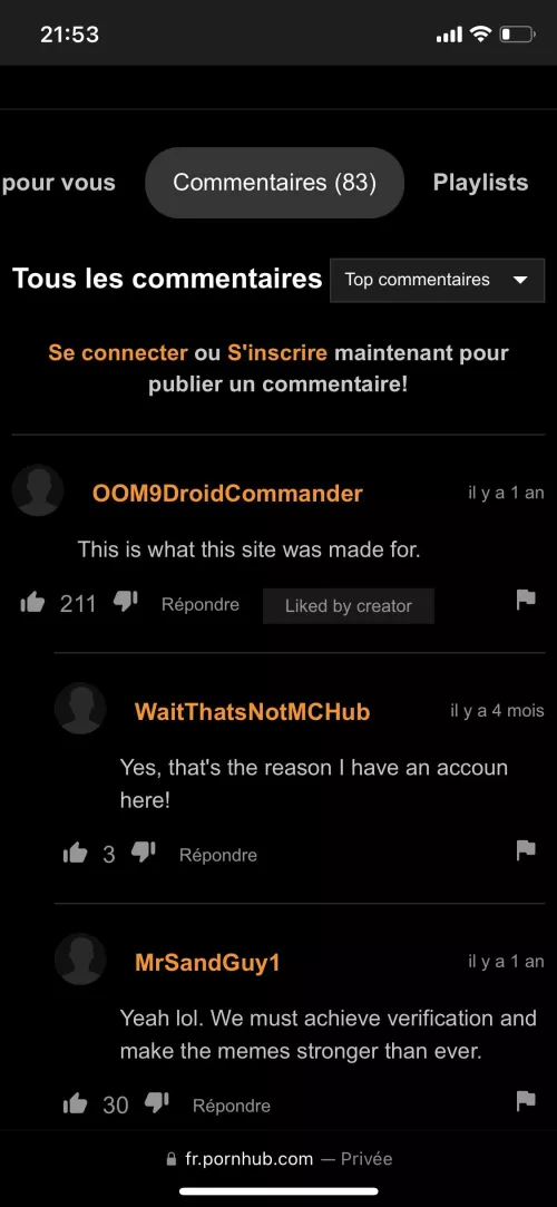 the video was a ferret dancing