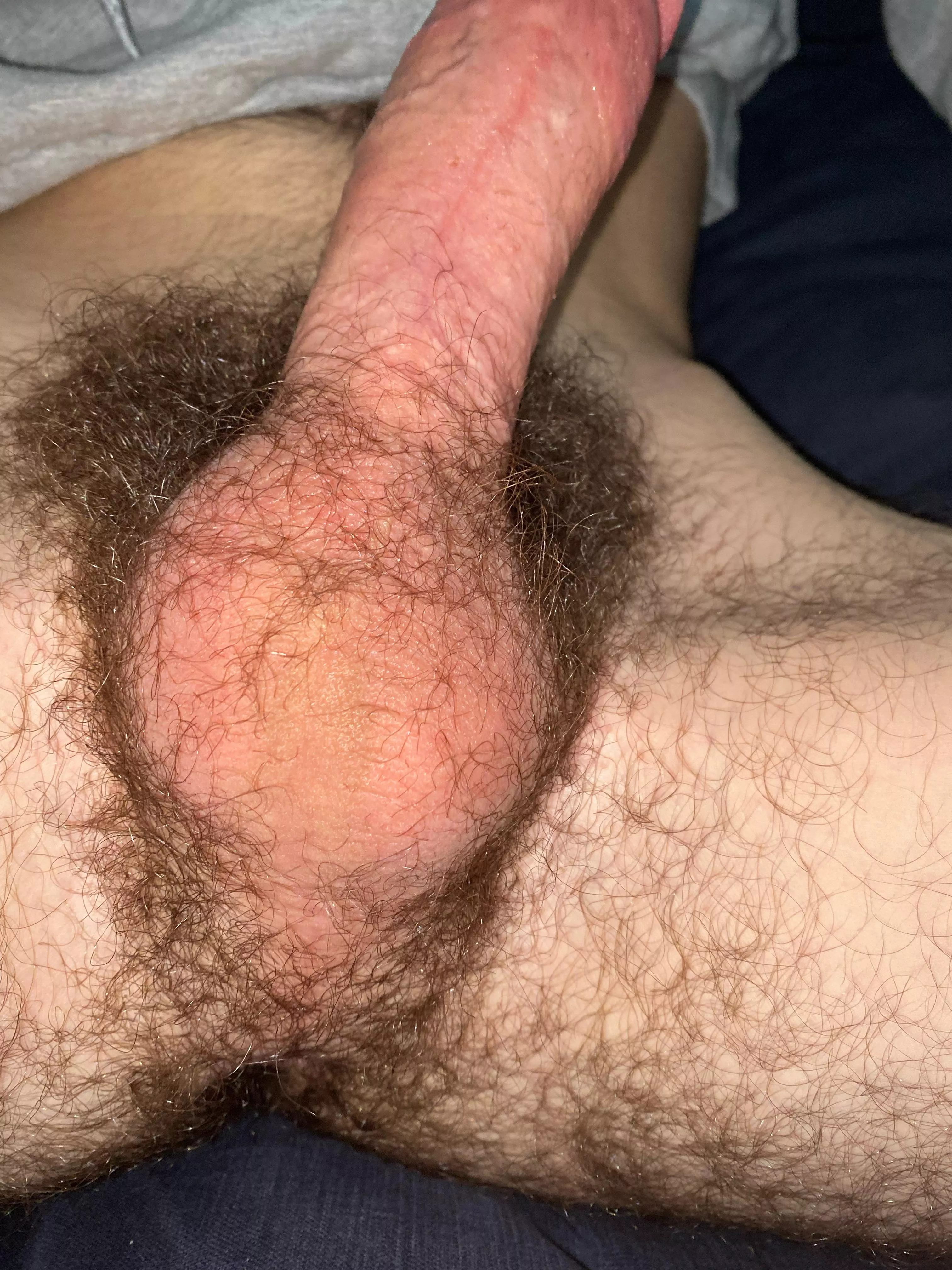 Bushy 😳