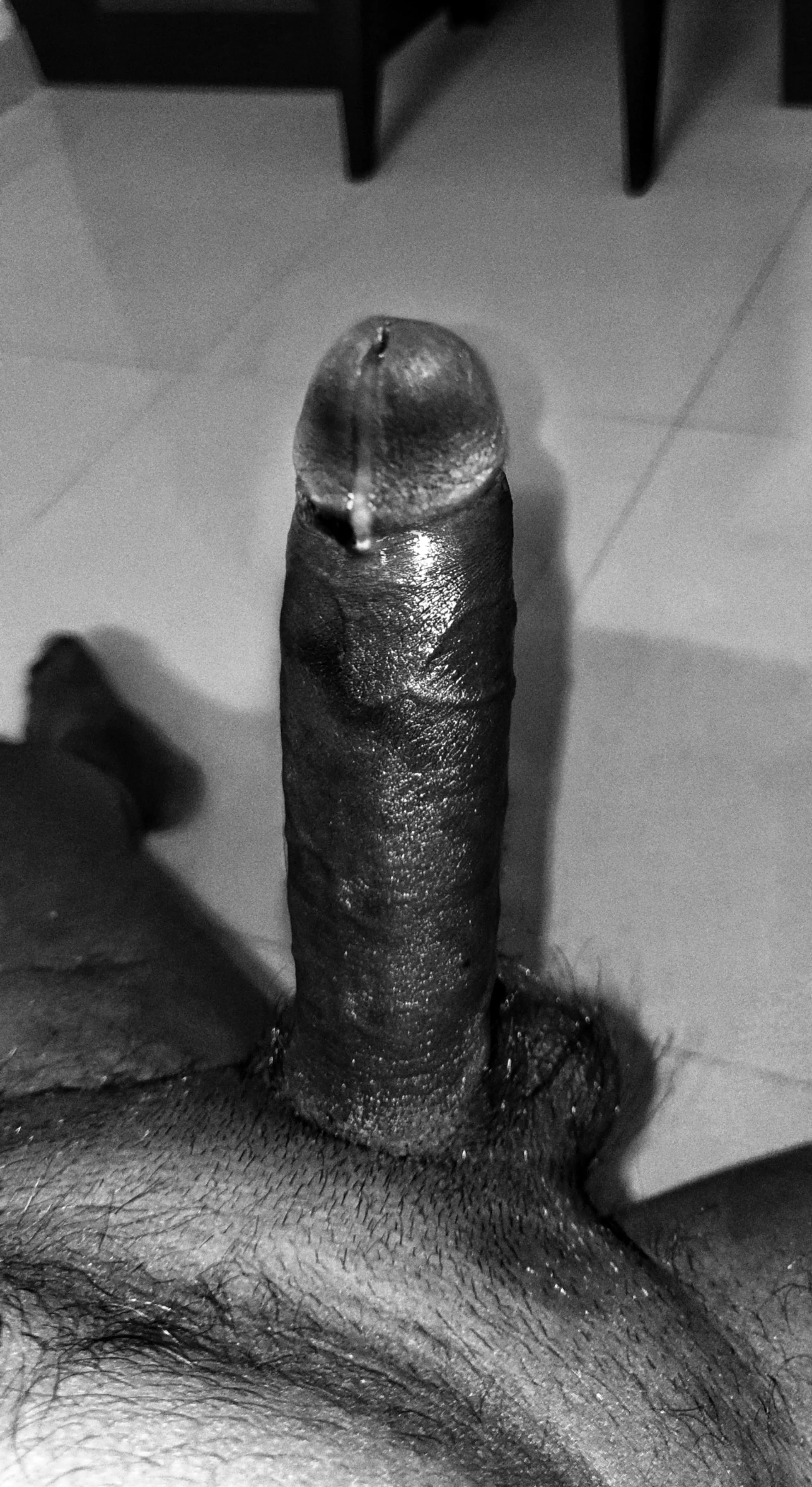 grey precum