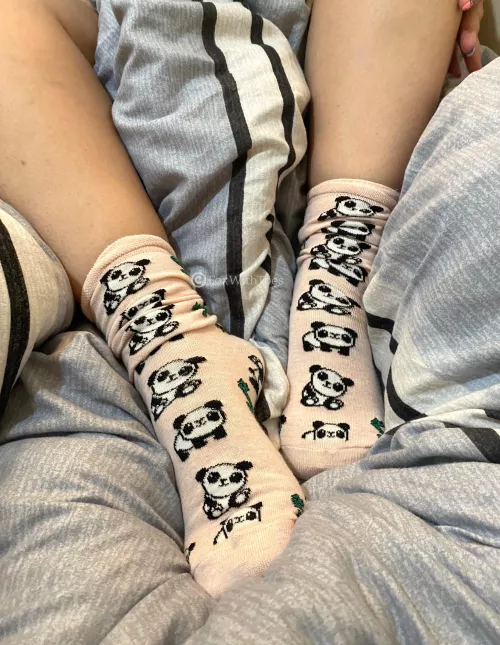 if you want them off me you can use your mouth 👅