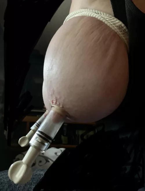 It’s Tuesday. Tied titties and training.