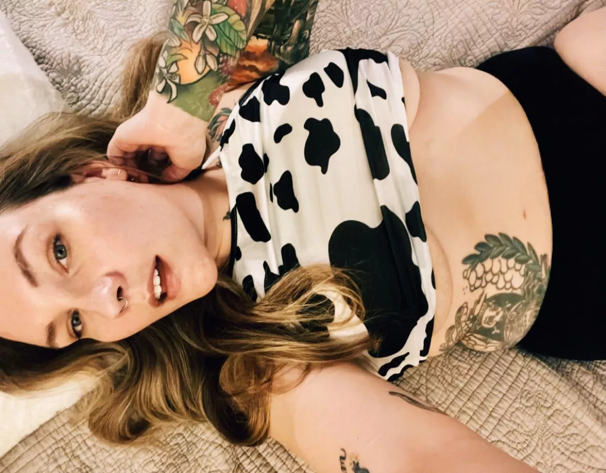 Moo 🐮