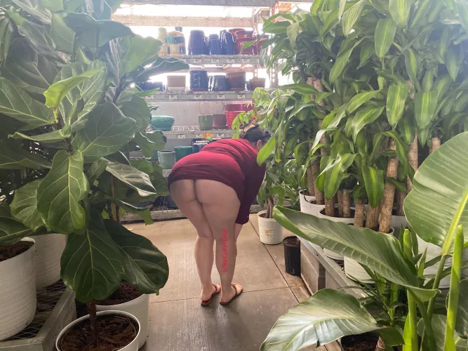 Naughty plant shopping
