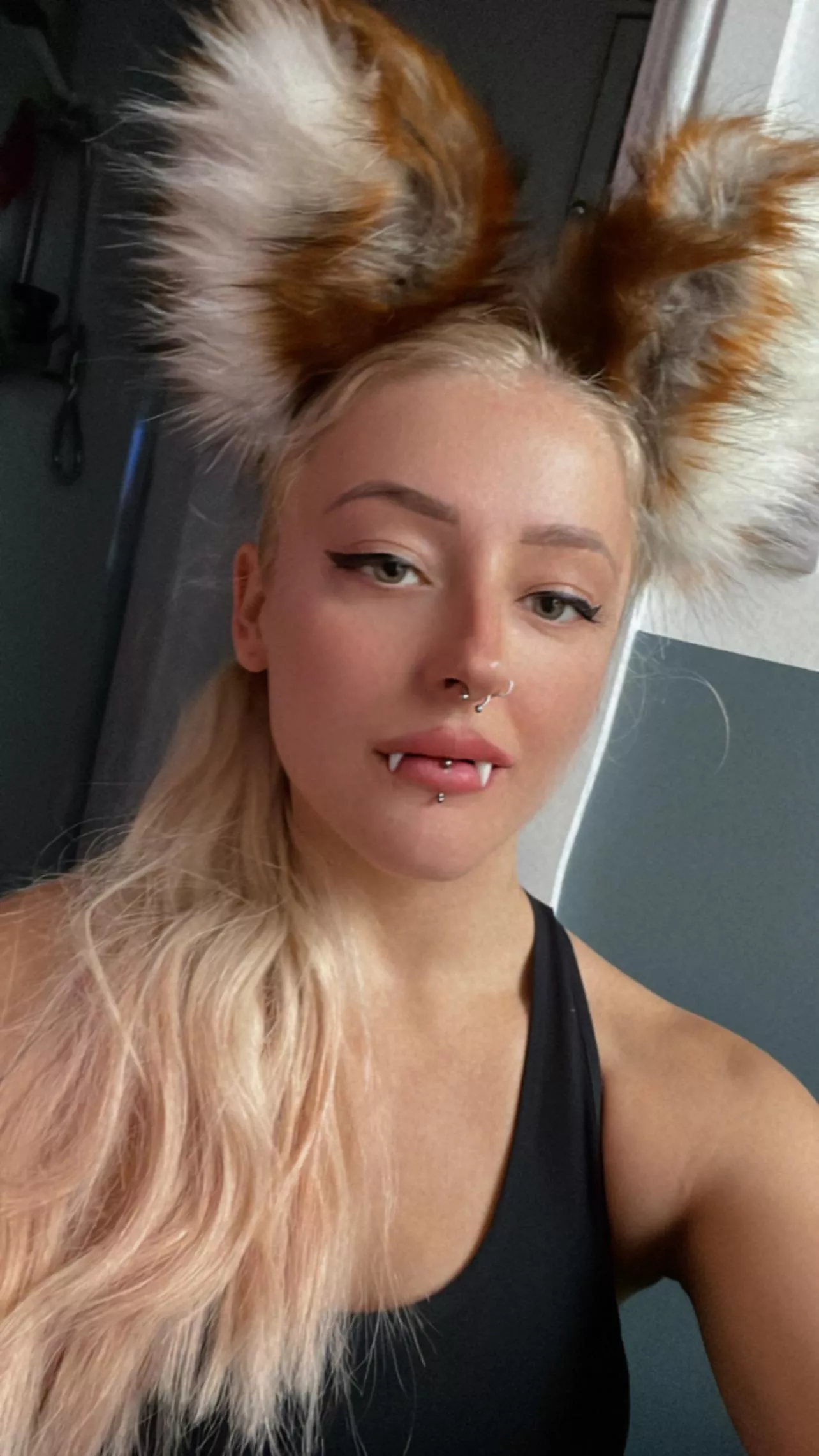 New fangs