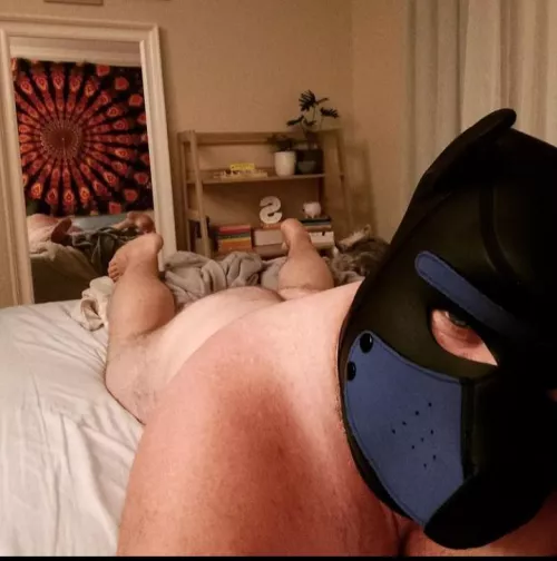 Pup's fuzzy 🍑 needs some attention 😝