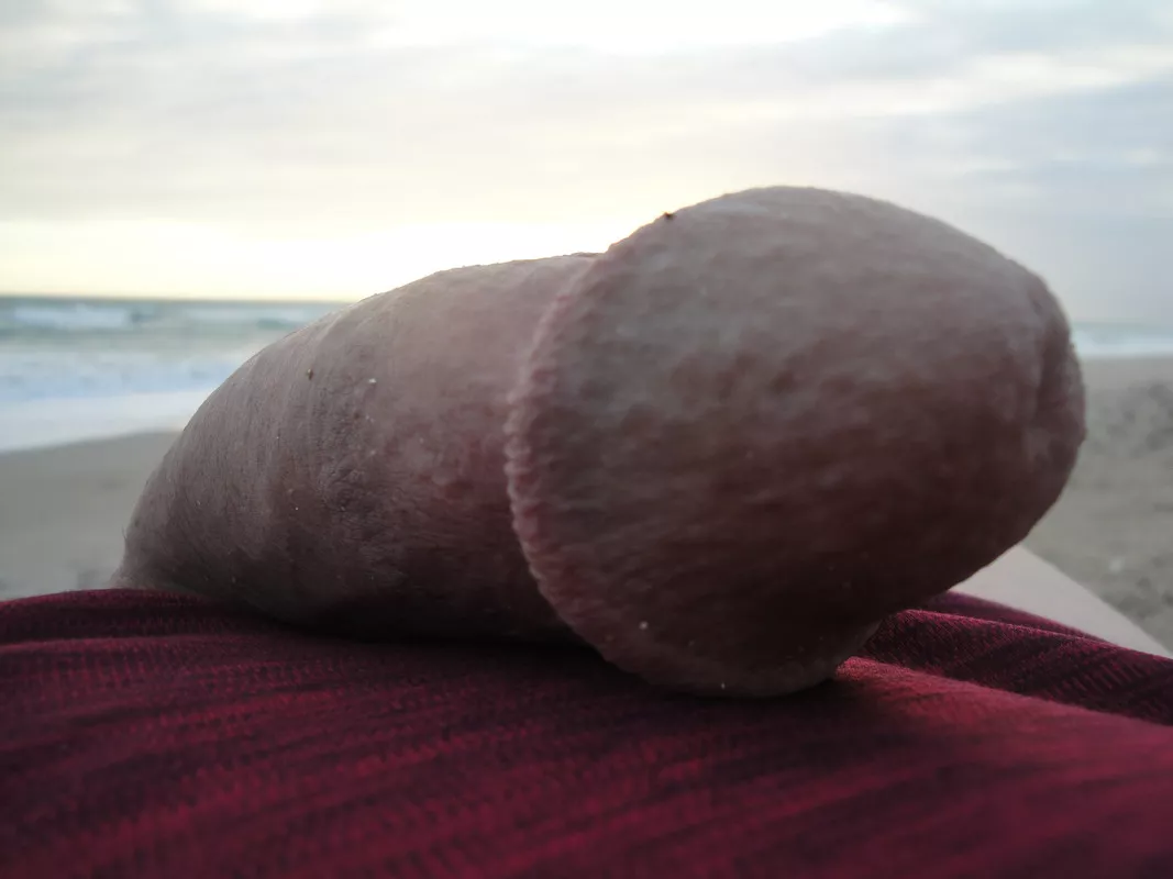 Enjoying the Beach