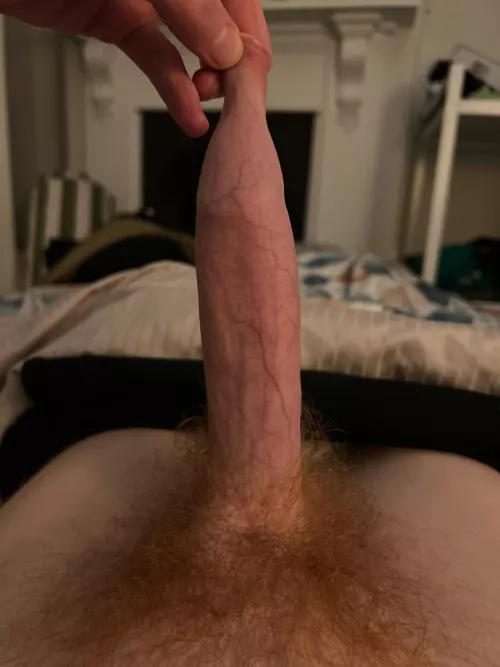 Foreskin for days…