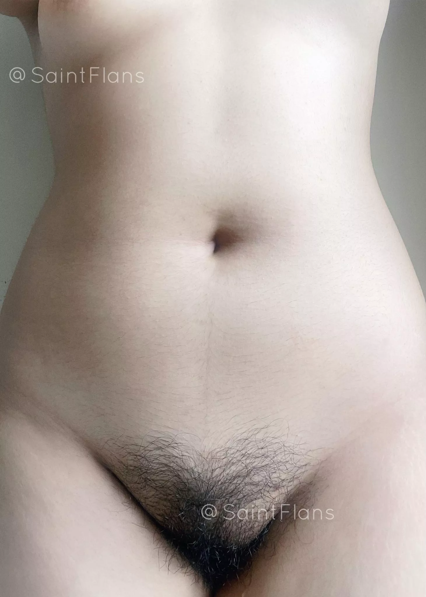 loblob [f]